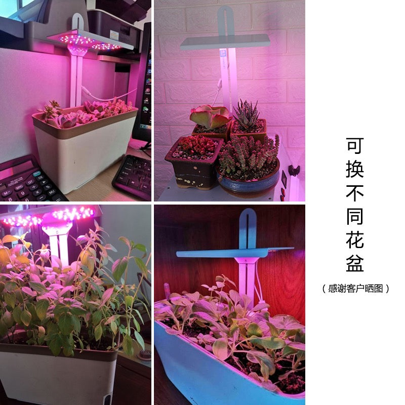 Hydroponics Plant Growing System 76PCS LED Full Spectrum Grow Lighting Table Plant Growing Indoor Lighting Portable LED Plant Grow Light
