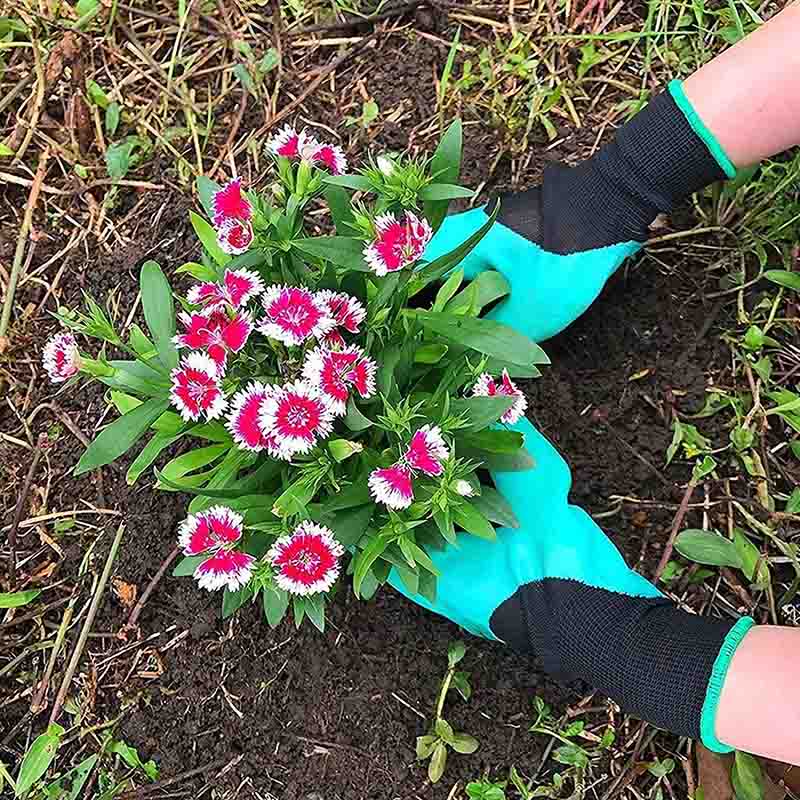 Garden Gloves with Claws - Homeware Discounts