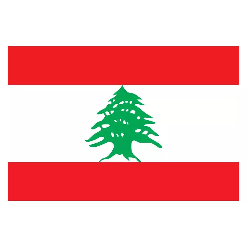 Large Lebanon Lebanese Flag Heavy Duty Outdoor LB 90x150cm - 3x5ft