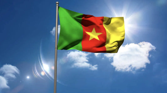 Large Ghana Flag Heavy Duty Outdoor Ghanaian 90 X 150 CM - 3ft x 5ft - Homeware Discounts