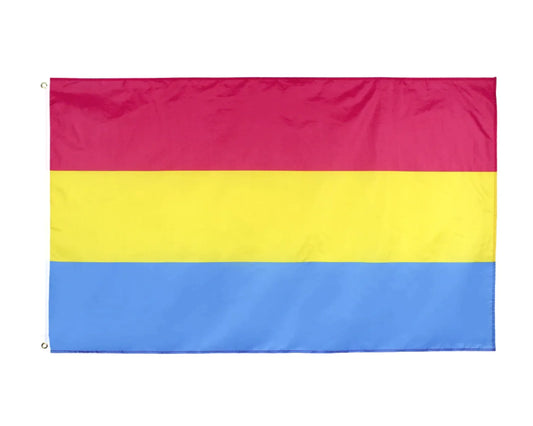 Large Pansexual Flag Heavy Duty Outdoor 90 X 150 CM - 3ft x 5ft - Homeware Discounts