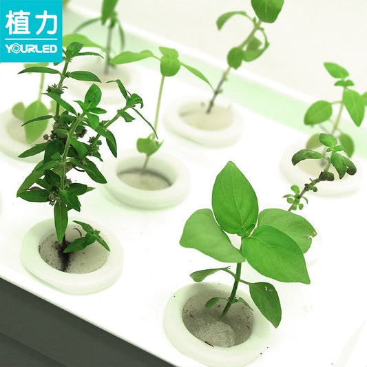 Hydroponics Plant Growing System 76PCS LED Full Spectrum Grow Lighting Table Plant Growing Indoor Lighting Portable LED Plant Grow Light