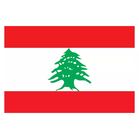 Large Lebanon Lebanese Flag Heavy Duty Outdoor LB 90x150cm - 3x5ft